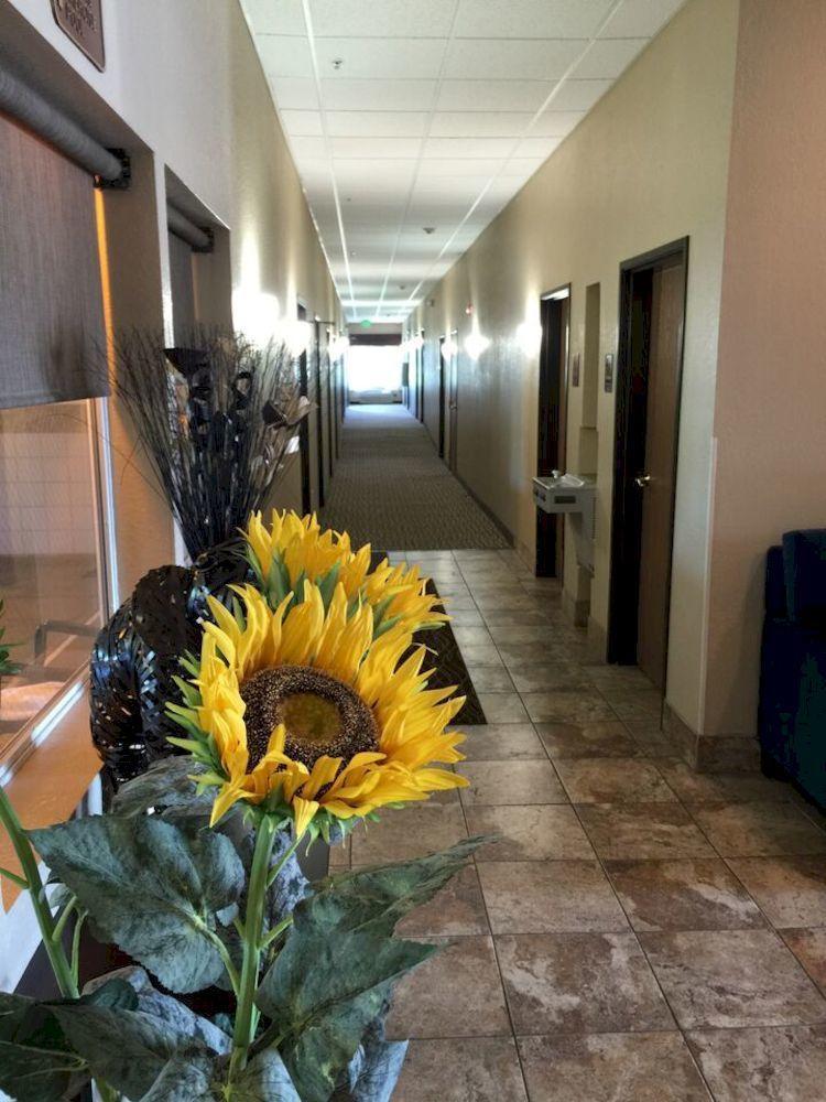 Comfort Inn & Suites Pittsburg Zewnętrze zdjęcie